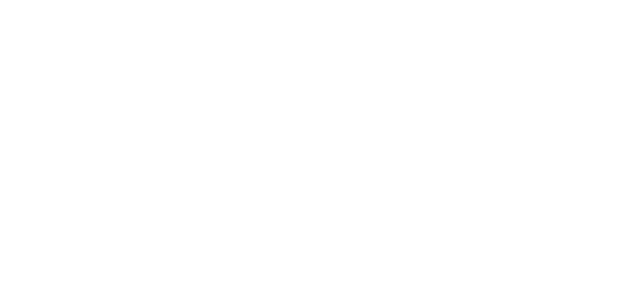 VELORA · Professional Scent Solutions
